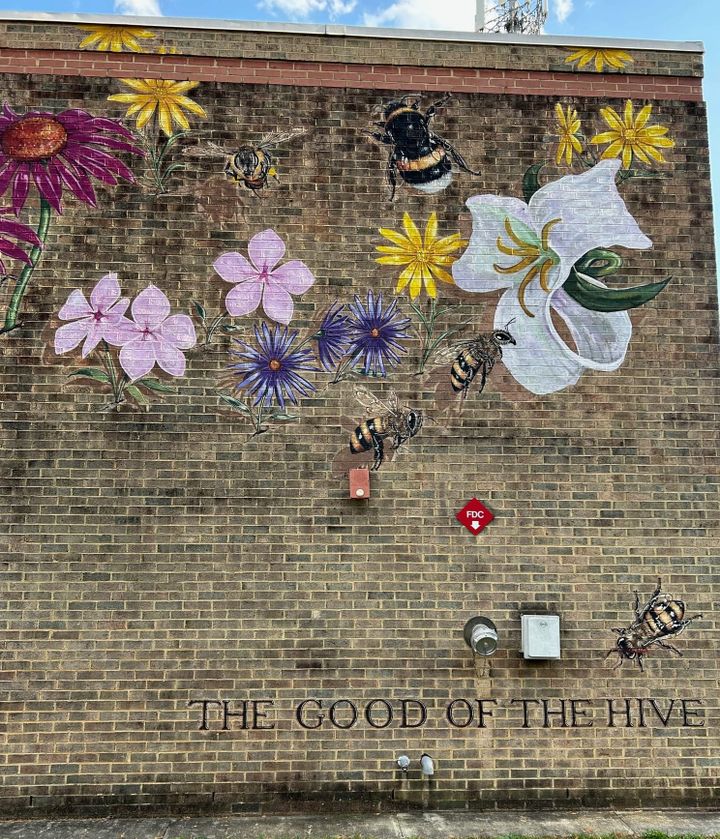 Weekly update, November 14