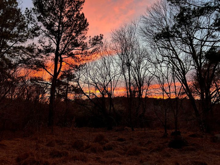 Did you make a resolution for the new year?