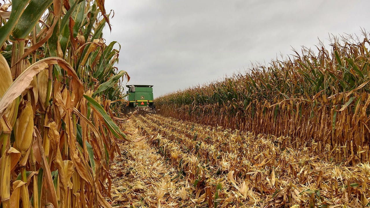 USC Gets Lost in the Cornfield and Boilermakers Take the Train Up North