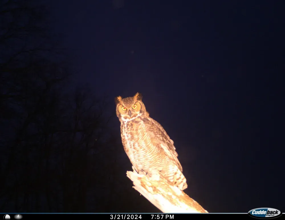 Monday April 27  Links and Banter