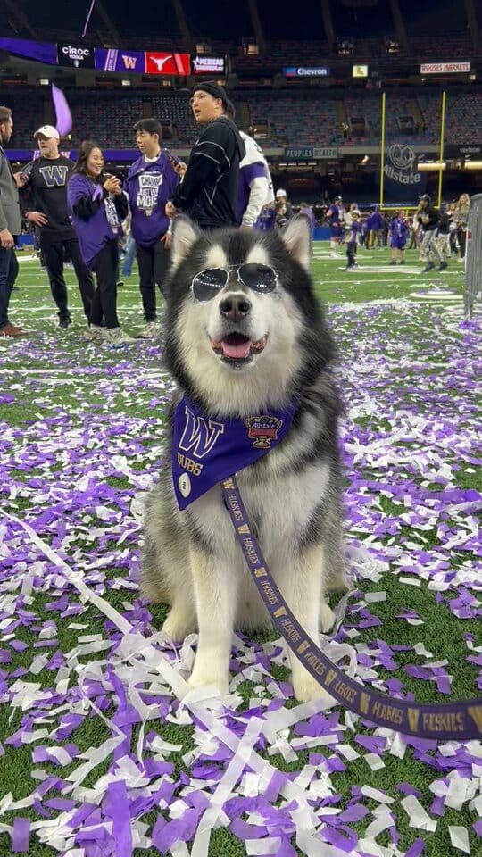 Washington Huskies, 2026 Predictions: AWOOOOO?
