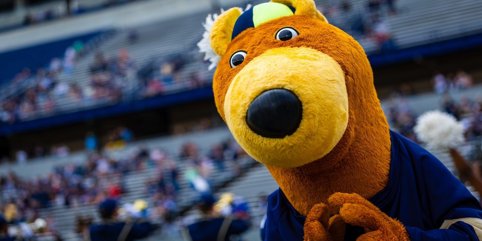 MACtion Ahoy!
