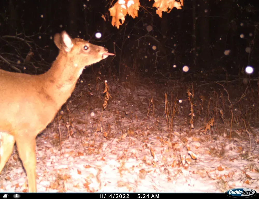 Tuesday September 29 Links and Banter