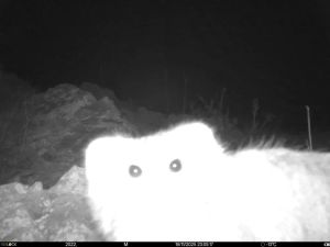 Tuesday April 21 Links and Banter