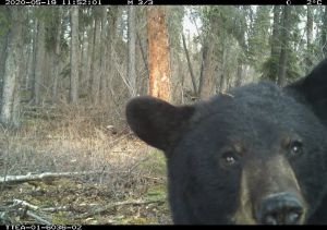 FRIDAY April 10 Links and Banter