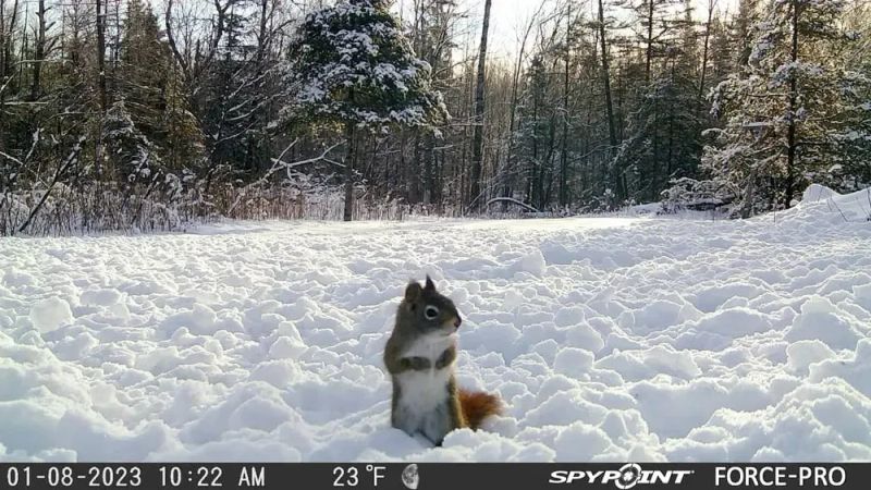 Tuesday March 31 Links and Banter