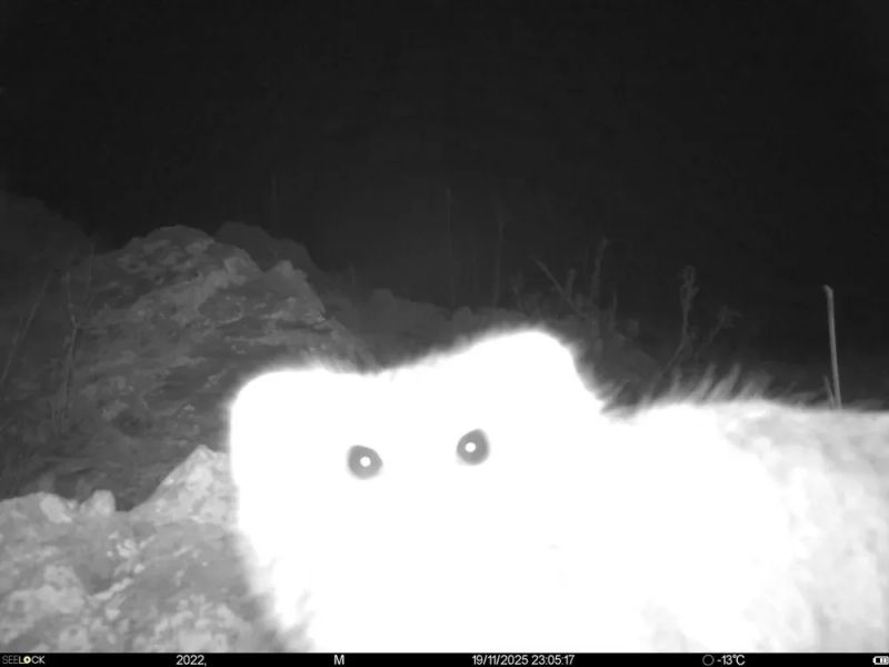 Tuesday April 21 Links and Banter