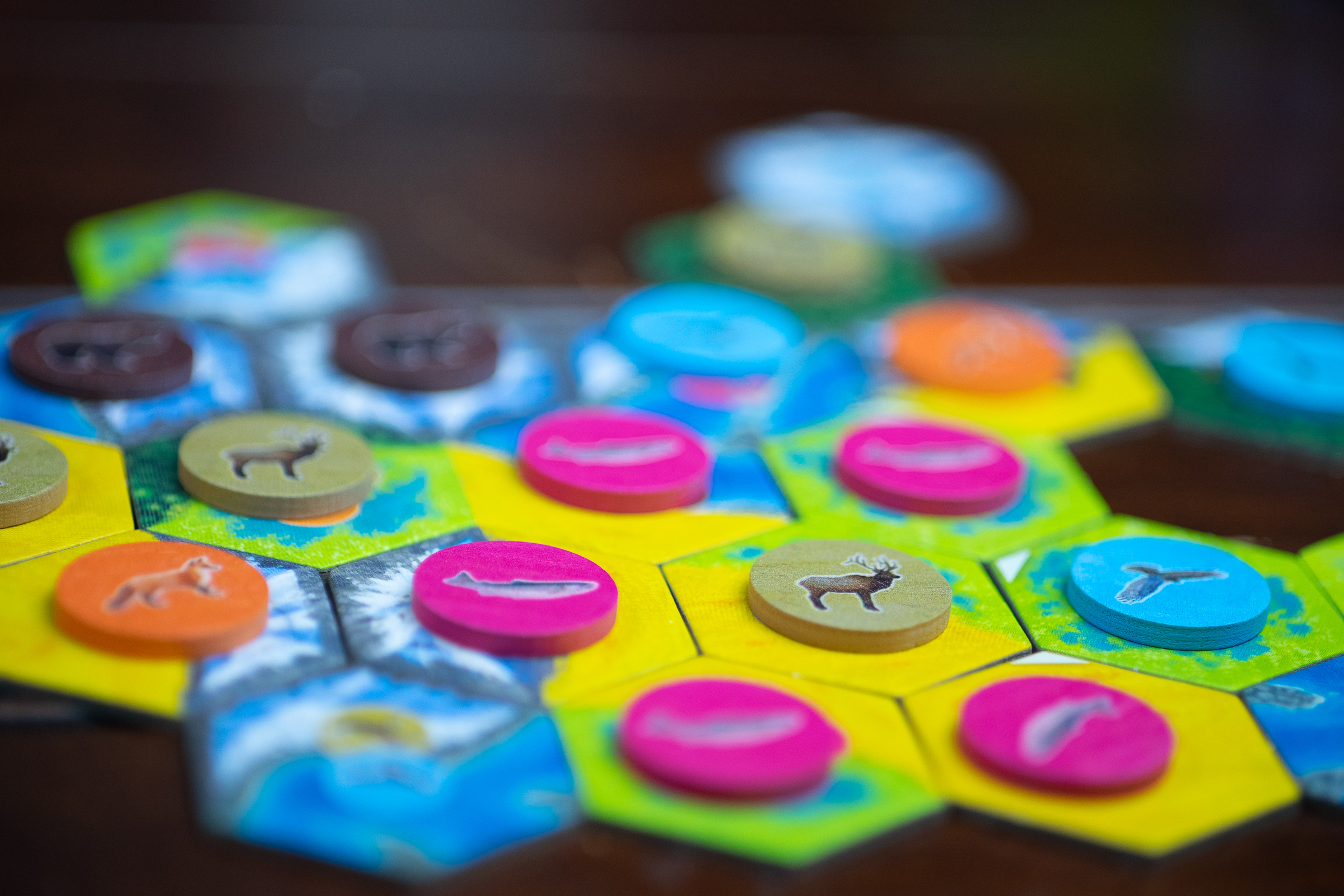 A player's habitat, consisting of a handful of tiles, in the board game Cascadia. There are animal tokens on nearly every tile in the habitat.