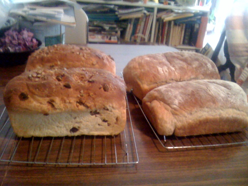 James Beard Raisin Nut Bread