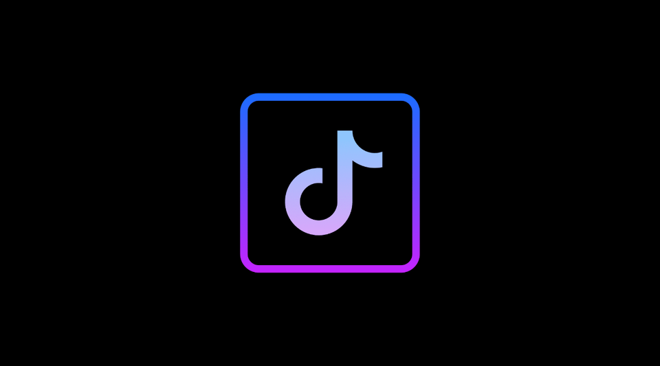 The Fight over Tiktok