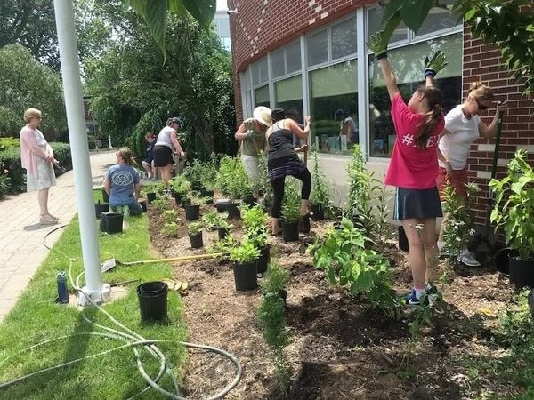 Riverhead Free Library Plants a Bee Friendly Pollinator Garden