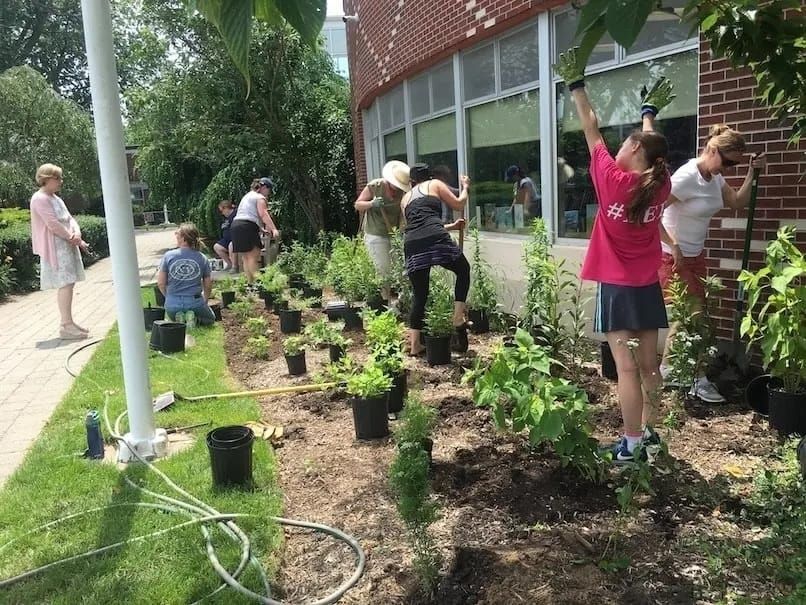 Riverhead Free Library Plants a Bee Friendly Pollinator Garden