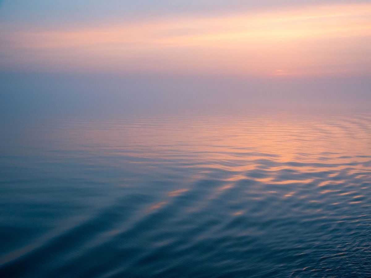 The day you avoided competition