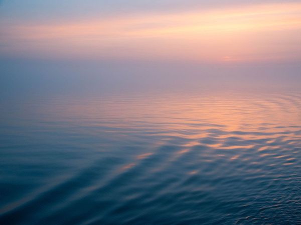 The day you avoided competition