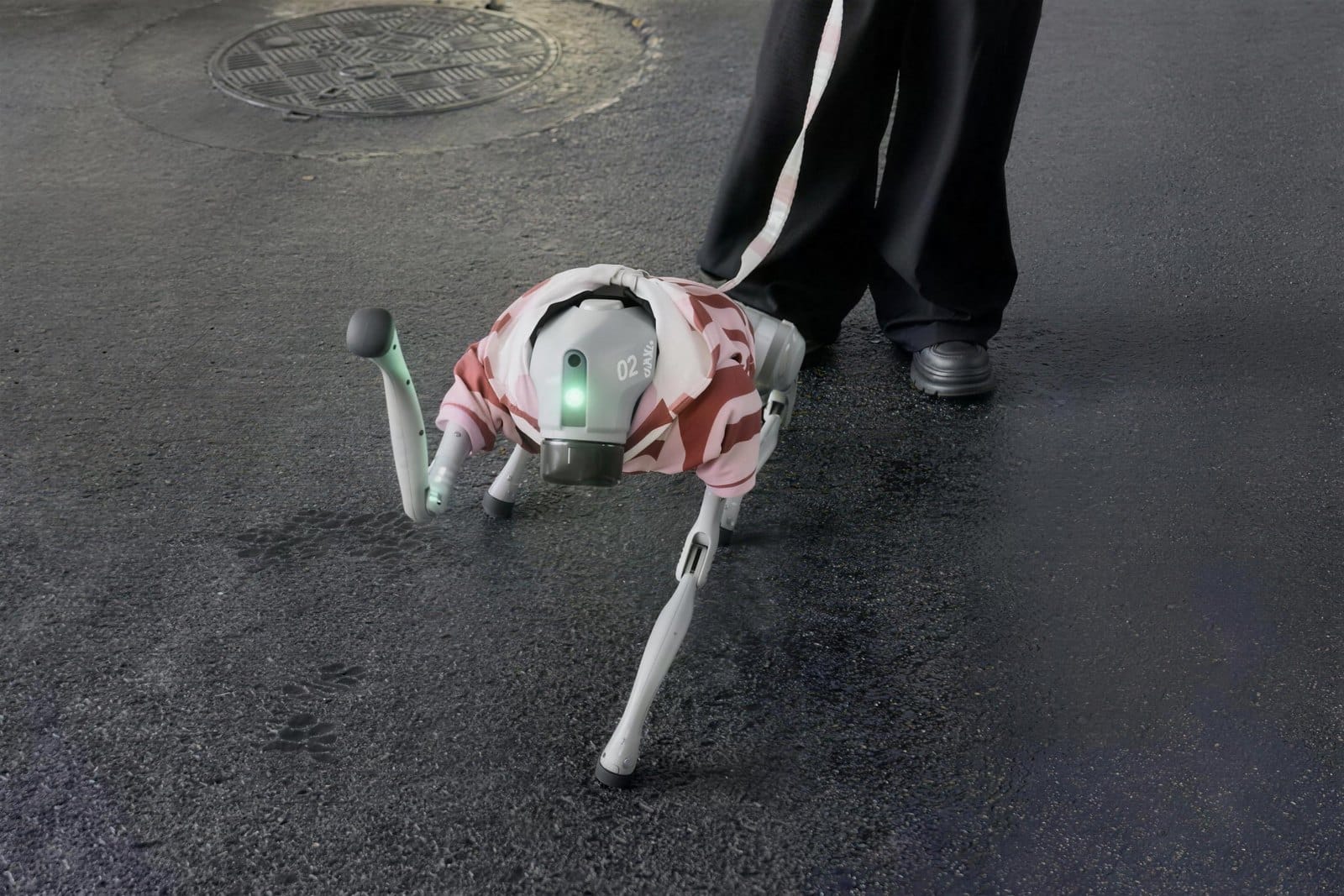 A robot dog being walked on a Shenzhen street at night