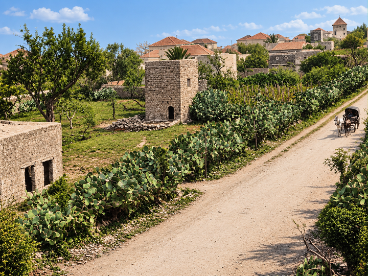 The Orchards and Agricultural Land That Once Surrounded Beirut
