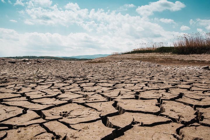A Powerful El Niño Is Intensifying — and Its Effects Are Already Being Felt Worldwide