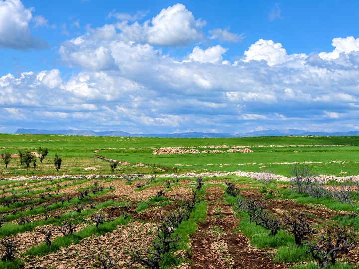 Lebanon Before Weather Apps: How Farmers Predicted Rain, Snow and the Seasons