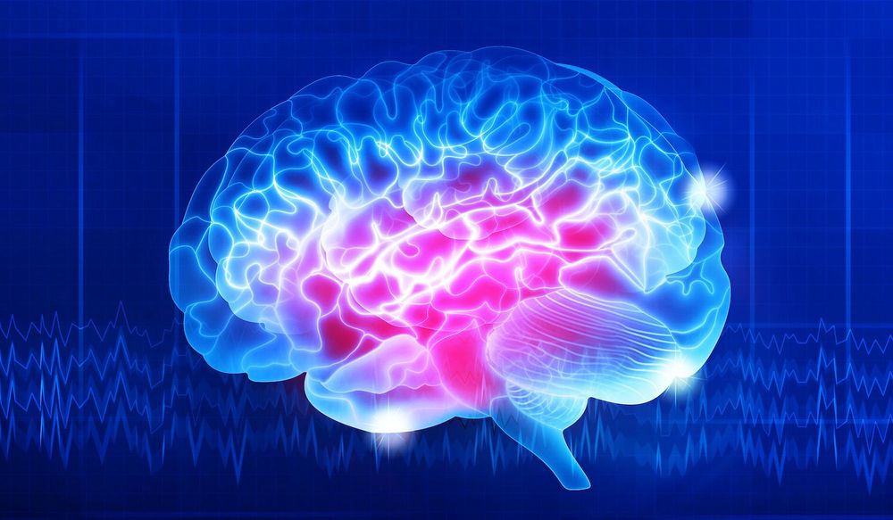 Graphic image of a brain