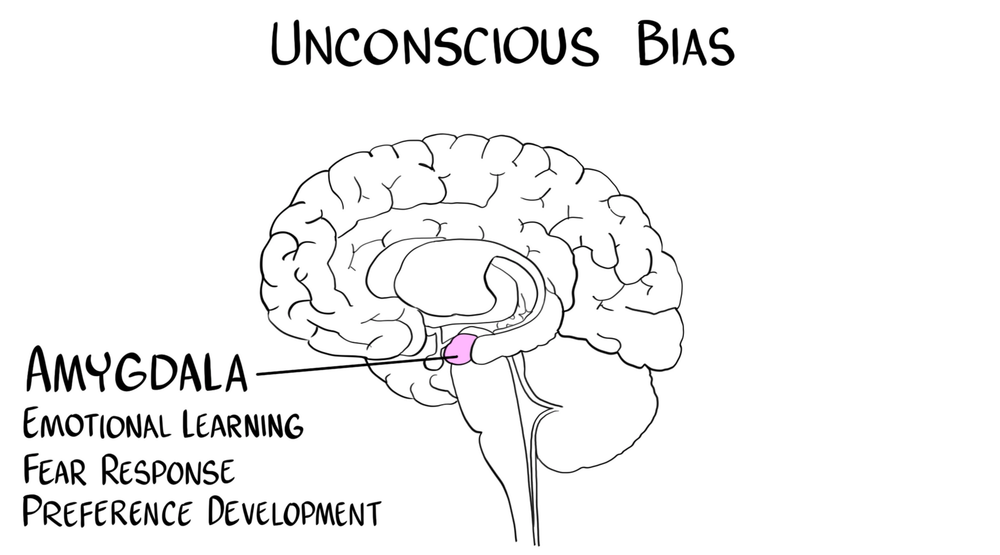Graphic of a brain with the amygdala highlighted