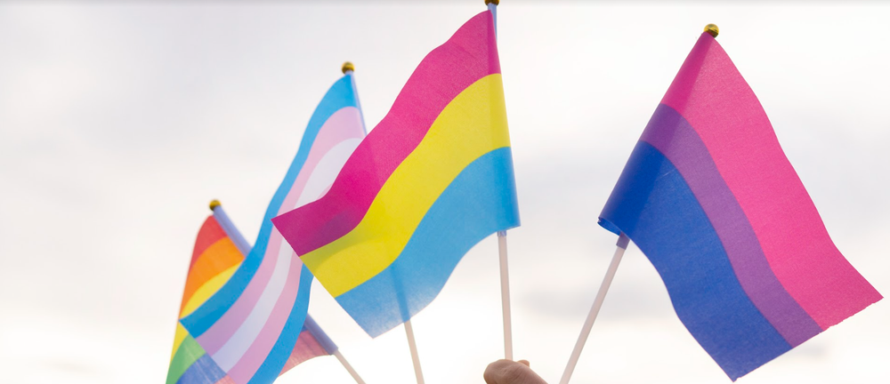 hand holding pansexual pride flag alongside hands holding other pride flags