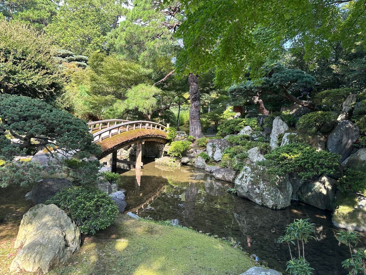 Understanding Attachment: How Early Bonds Shape How We Love