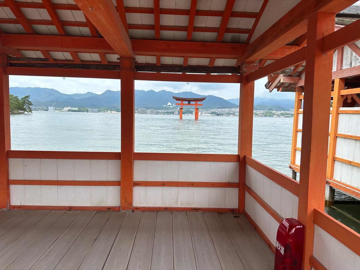 Folded Into Confidence