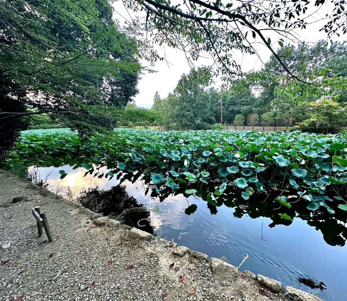 Making Space for a New Inner Truth