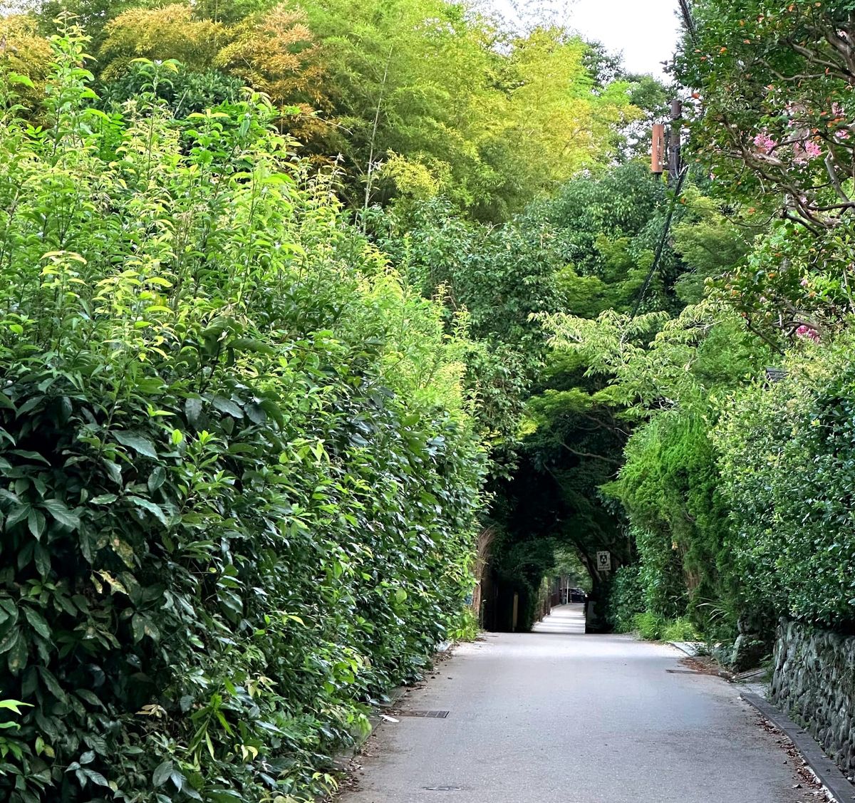 In Choosing Peace, You Find Yourself