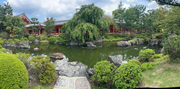 Why Anger Can Be Healing