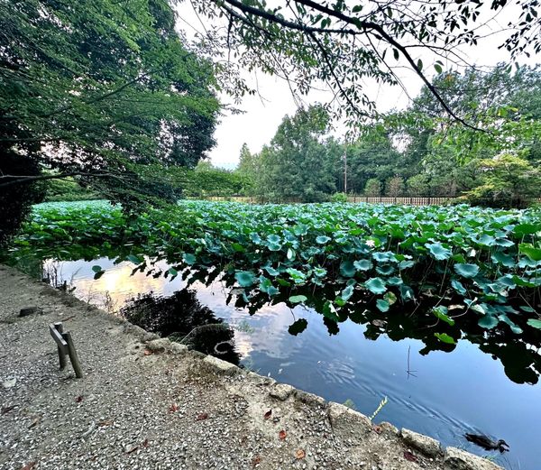 Making Space for a New Inner Truth