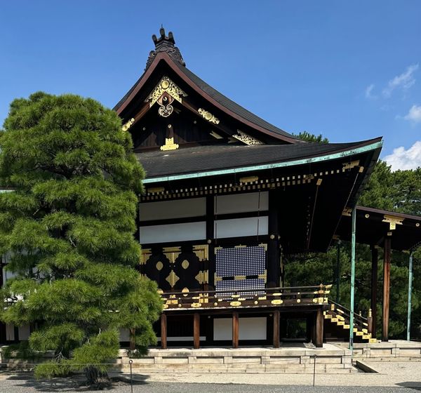 We Are the Love We Share