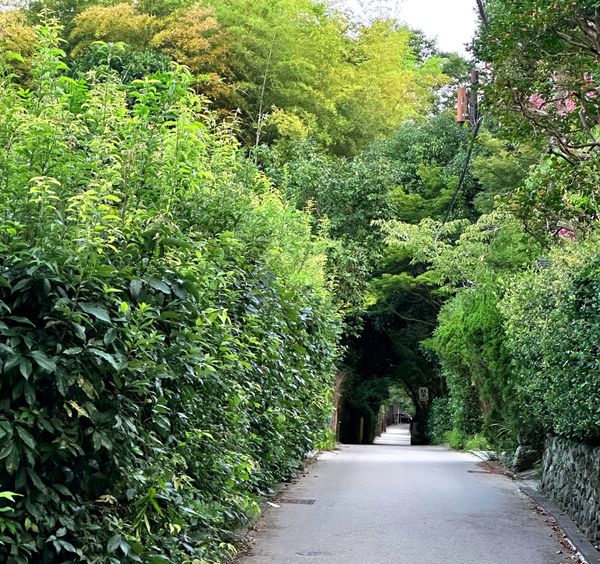 In Choosing Peace, You Find Yourself