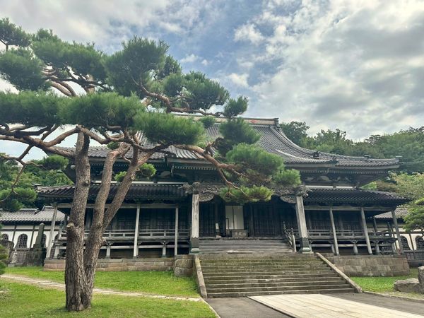 Not Every Feeling Means Go