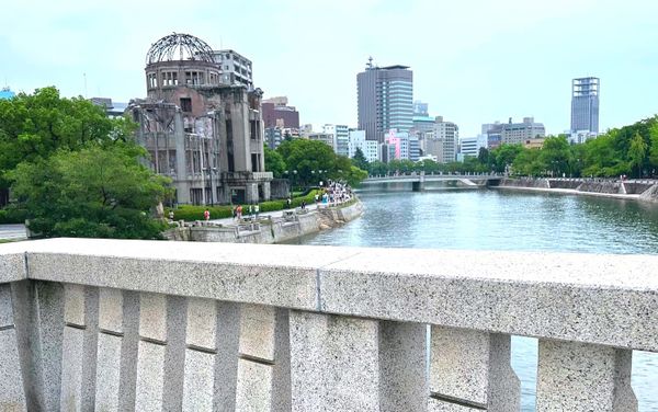 What Grows in the Quiet