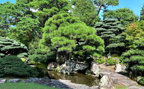 Where Healthy Relationships Take Root