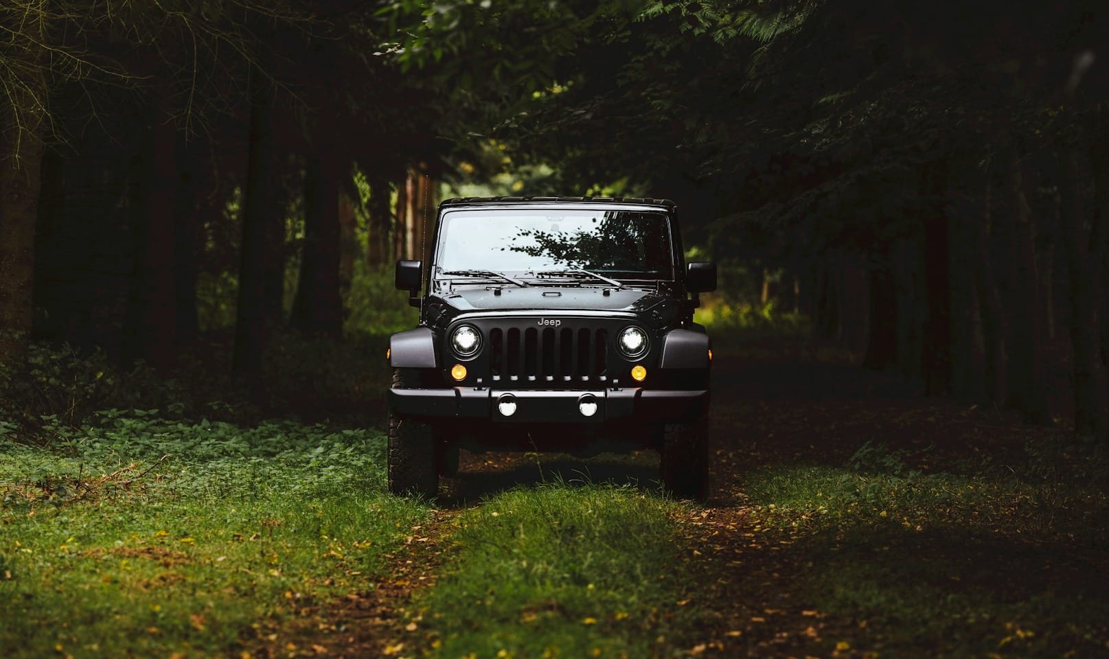 black Jeep Wrangler SUV on green under trees