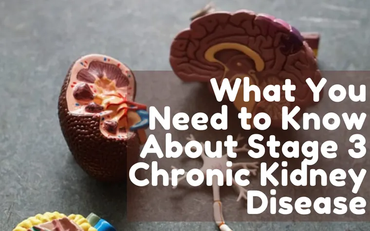 Stage 3 Chronic Kidney Disease: Understanding Symptoms, Management, and How to Slow Progression