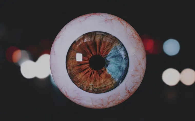 Macular Degeneration: Understanding Causes, Symptoms, and Treatment Options