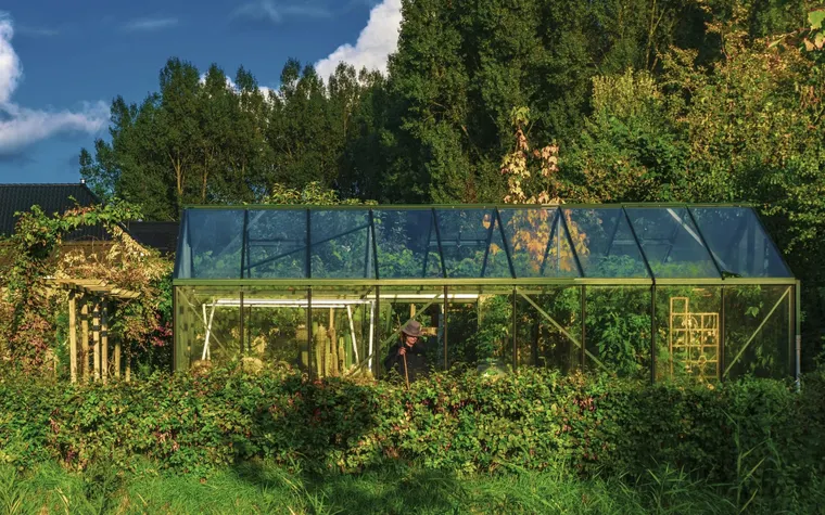 Why Polycarbonate Greenhouses Are the Ultimate Solution for Year-Round Gardening