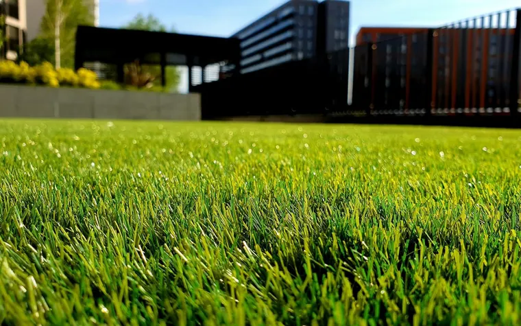 Artificial Grass: The Eco-Friendly, Low-Maintenance Lawn Solution of the Future