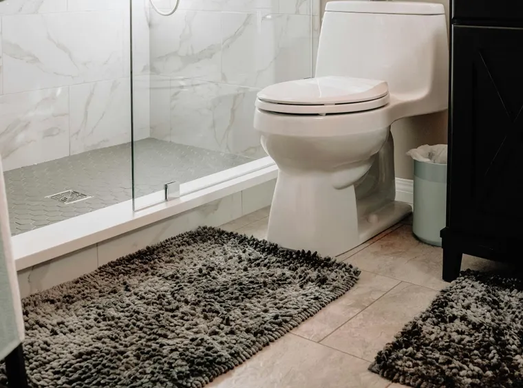 Professional Toilet Unclogging Services: Fast Relief When You Need It Most