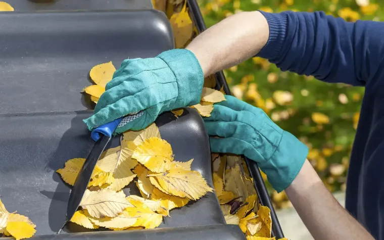 Gutter Cleaning Near You: Protect Your Home with Local, Reliable Maintenance Solutions