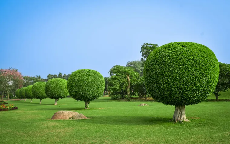 Transform Your Outdoors: Fresh Landscaping Ideas to Elevate Your Curb Appeal