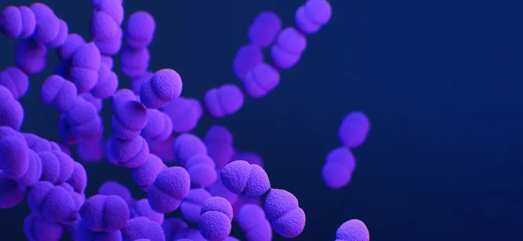 Understanding Pneumonia Vaccine Timing for Seniors