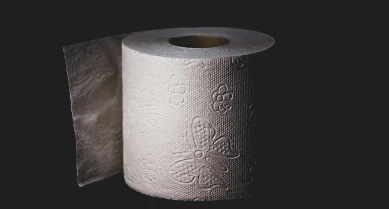 Toilet Paper in Bulk: Here’s What You Should Know