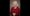 Patricia Ann Mullies Obituary