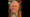 Donald Ray Wynn Obituary
