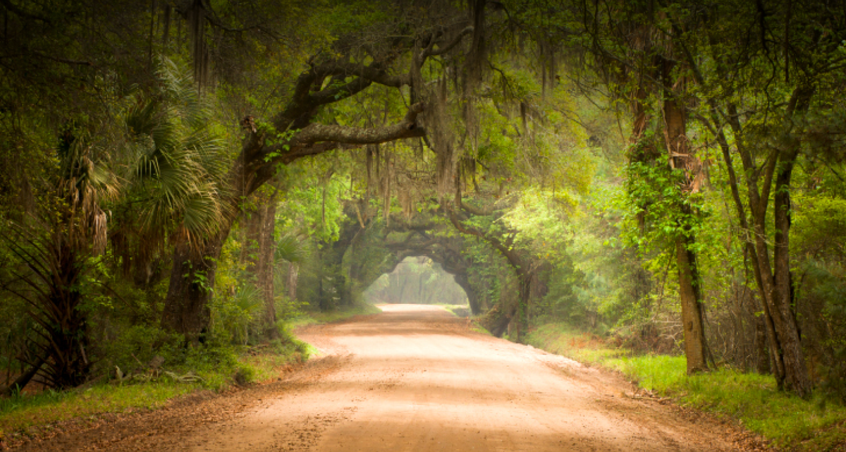 Untangling Heirs’ Property: Pre-Tax Sale Workshop at Penn Center