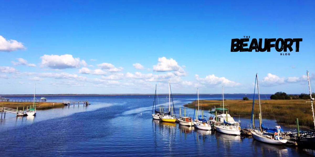 Spring Into Wellness at the Health Jamboree